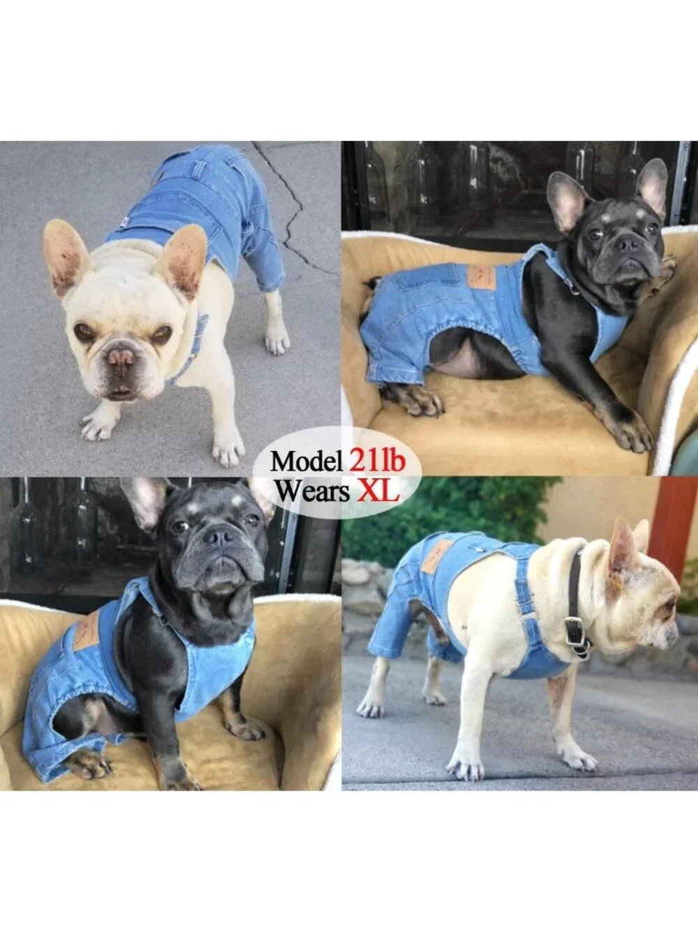 Stylish Dog Overalls for Small Dogs | Denim Outfit for French Bulldog & Pug